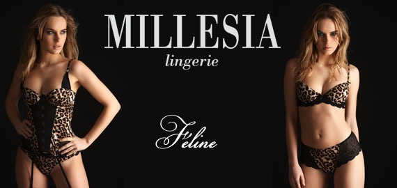 Millesia Féline